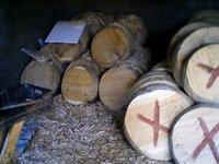 Un métier, une vocation : La gasaâ de Draa Tebbal