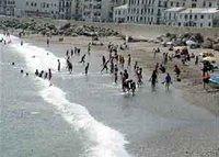 L'été de tous les ratages