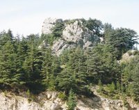 Tikjda-La montagne délivre ses secrets : Les canettes sont... « vertes »