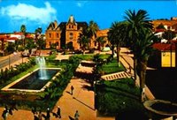 Saïda : Ville de culture, d'opposition et de gloire perdue