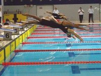 Natation : Huit compétitions nationales et quatre internationales au programme