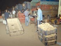 ORAN 'Le marché de gros d'El-Kerma ouvrira en mars'