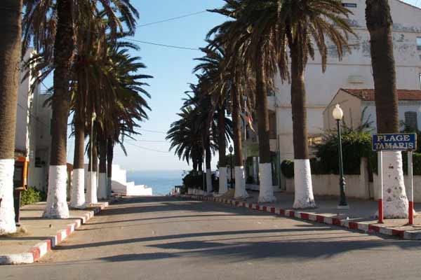 Le trafic d'enfants entre Alger et Saint Etienne n'a pas révélé tous ses chiffres