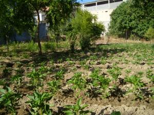 Que faire une fois en retraite '