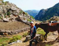 Bergers de haute montagne
