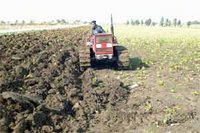 Optimisme des responsables à Aïn Defla