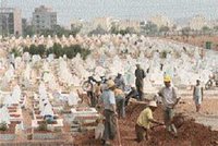 Cimetiere de Aïn Beida : Des arbres d'ornement pour les morts