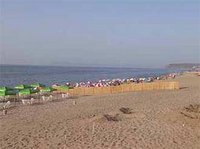 Concessions de la plage Ben M'hidi : Une touche de gaîté dans la grisaille