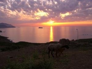 l'ame archaique de l'afrique du nord