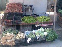 Qui sont ces spéculateurs, à l'origine de tous les maux '