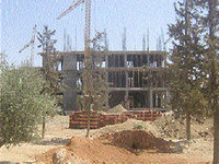 Les habitants dénoncent  le massacre de la forêt