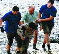 La marine italienne à la rescousse des harraga algériens à la dérive