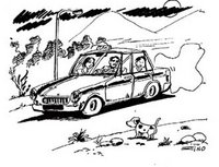 Nouvelle : Un petit bout de femme et un tout petit chien