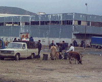 L'insalubrité a dépassé tous les seuils