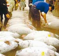 Doutes sur le ministère de la Pêche