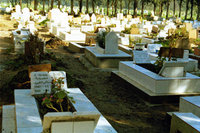 Des terrains ont pourtant été choisis : Pas de cimetière à Bordj El Bahri