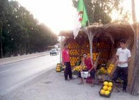 Commune de Naciria (Boumerdès) : Peu de perspectives pour les jeunes