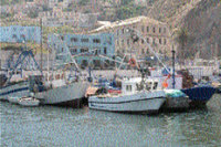 Production halieutique : Retombées néfastes de la pêche prohibée