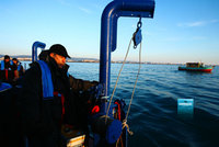 La grande évasion !