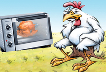 Le poulet à 350 Da le kg à Mascara