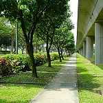 Quel rôle pour les architectes paysagistes ?