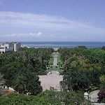 Jardin d’essais du Hamma : Installation de 220 candélabres ...