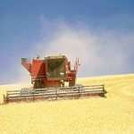 Deux salons liés à l’agriculture ouverts depuis hier