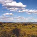 Tlemcen : L’eau, une priorité pour le développement de la steppe