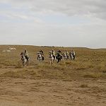 Deux tribus s’entredéchirent à Tiaret