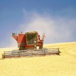 Deux salons liés à l’agriculture ouverts depuis hier