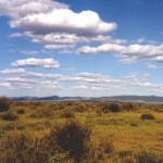 Tlemcen : L’eau, une priorité pour le développement de la steppe