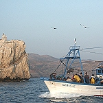 GHAZAOUET : Des Italiens pour le développement de la pêche artisanale
