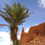 Espace et sacré au Sahara. Ksour et oasis du sud-ouest algérien