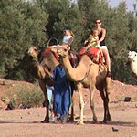 Tourisme et Déserts : Guide pratique pour gérer les impacts environnementaux et sociaux du tourisme dans les déserts.