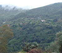Tarikt,  un hameau oublié
