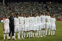 La préparation des Verts à la loupe