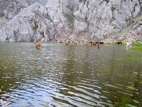 Tamda Ouguelmim, une émeraude au coeur du Djurdjura