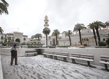 Les Algérois surpris par la neige ILS ATTENDAIENT VAINEMENT DES BUS QUI N'ALLAIENT PAS VENIR