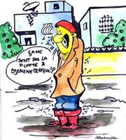 Aménagement à Souk Ahras : Insalubrité et défaillances à Djenene Teffeh