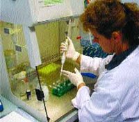 Un espoir de vaccin contre le VIH