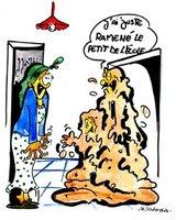 Lotissement de Boulekroud : La route de tous les désagréments