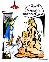 Lotissement de Boulekroud : La route de tous les désagréments