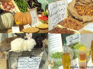 انطلاق التربصات لفائدة قطاع الفلاحة بولاية الجلفة و