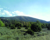 Protection du patrimoine et désenclavement des mechtas KHENCHELA, Massifs forestiers