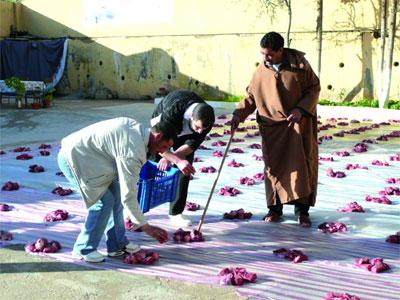 La préservation du patrimoine immatériel n'est pas chose facile Le défunt Mouloud Mammeri a fait un travail colossal dans ce sens