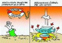 Les agriculteurs « assimilés » se constituent en collectif de défense