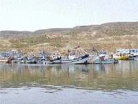 Bouzedjar : La pêcherie ne sera pas rasée