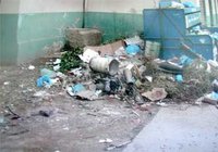 Hygiène publique : Les rats envahissent la cité des Mimosas à Chetouane