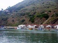 Wilaya de Boumerdès : L'aquaculture et la sécurité alimentaire en débat