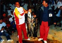 Carbonnel impressionnant à Tipasa